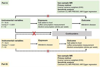 Restriction of salt, alcohol and coffee intake and Ménière’s disease: insight from Mendelian randomization study